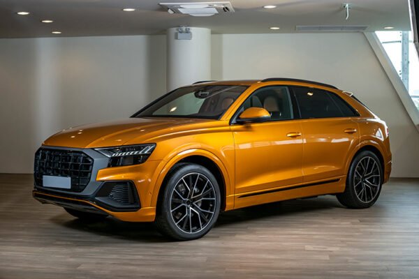Remons SUV Limited - Görsel 2