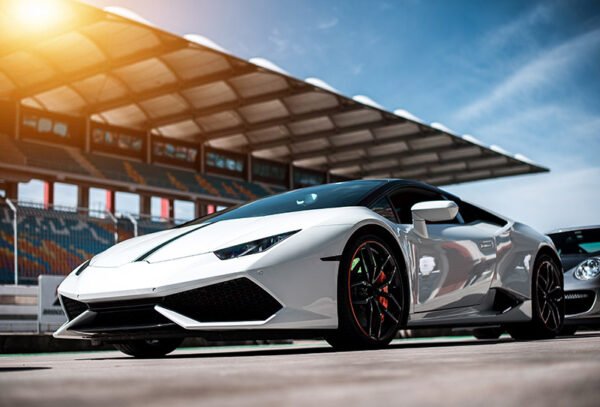 Lambo Yellow Limited - Görsel 3