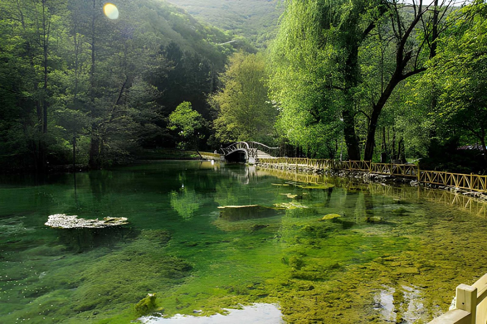 Vrelo Bosne